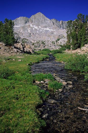 Stream, meadow, and mountains in the High Sierra