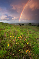 Rainbow at sunset over a meadow in Arastradero Preserve