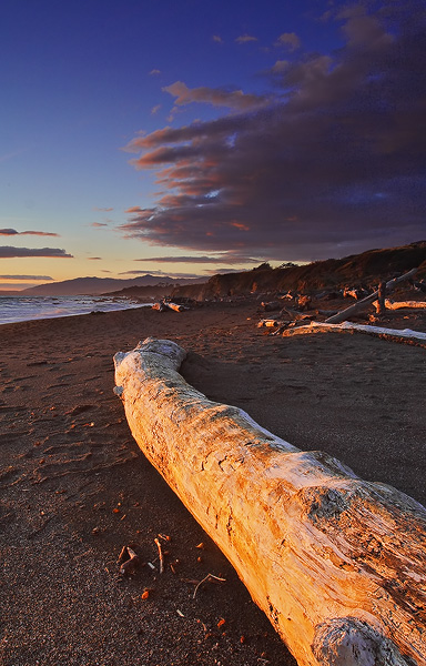 Driftwood, sand and sunset with mountains in the background on San Simeaon State Beach