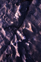 Bone Patterns in Rocks
