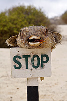 Stop sign on beach