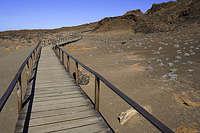 Wooden walkway to the summit of barren Bartolome Island