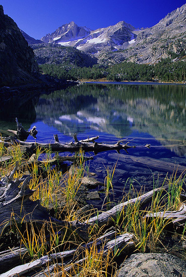 Mountains reflected in a lake with fallen wood and trees and grass in the foreground