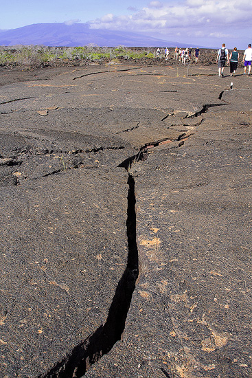 Walking through the expansive lava fields of Isabella Island
