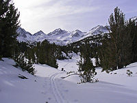 Ski tracks in Little Lakes Valley
