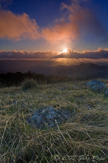 Sunset and sunrays at Russian Ridge Open Space Preserve