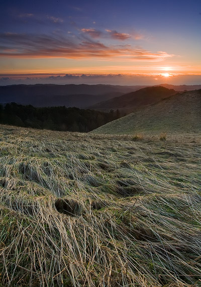 Sunset in a meadow at Russian Ridge Open Space Preserve.