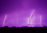 Lightning bolts flashing over a meadow in Santa Cruz California