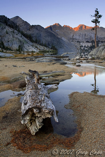 Sunrise off peaks reflected in a lake with a dead tree in the foreground