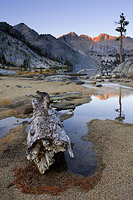 Sunrise off peaks reflected in a lake with a dead tree in the foreground