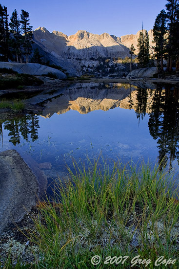 View of alpenglow off peaks reflected in a lake seen through trees of a forest with a meadow in the foreground.