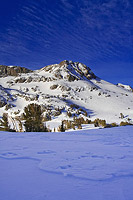 Morning at Winnemucca Lake