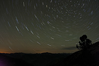 Star trails circling around the North Star with a silhouette of a tree and mountains