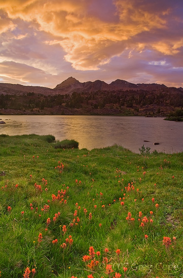 Sunset in Twenty Lakes Basin with dramatic clouds and indian paintbrush in the foreground 