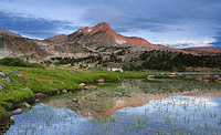 Sunrise reflection from a meadow on the shore of Greenstone Lake