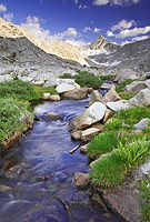 Mountain stream winding through the meadows of the High Sierra.