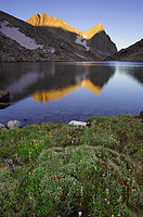 Sunrise over a lakeside meadow in the John Muir Wilderness