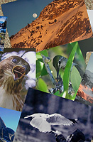 fine art photography prints